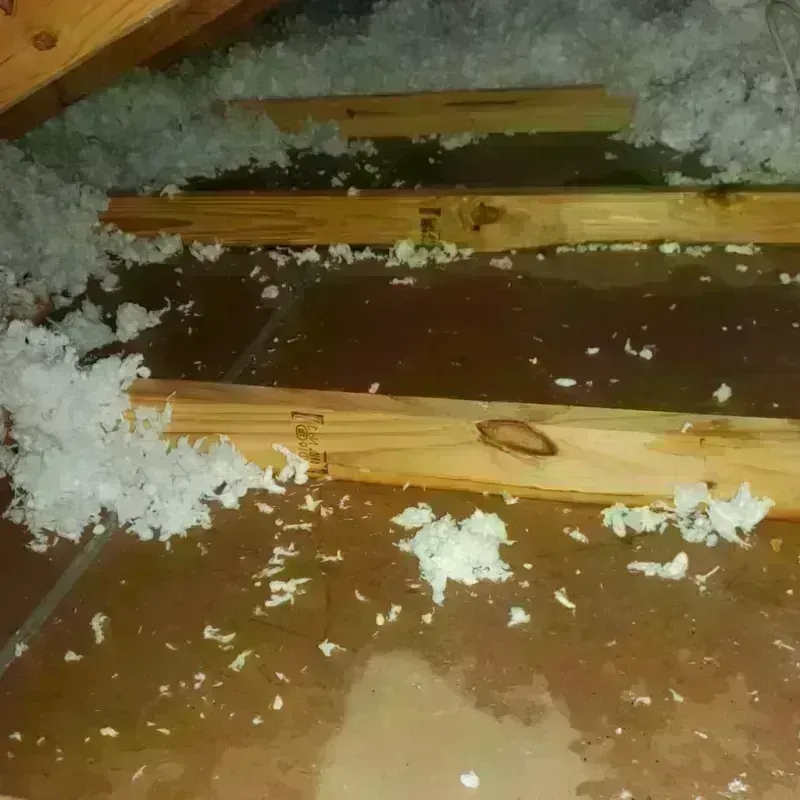 Attic Water Damage in Breckenridge, TX