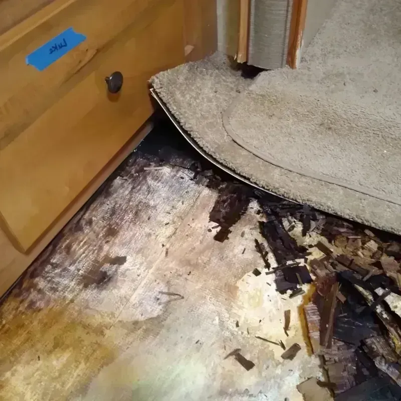 Best Wood Floor Water Damage Service in Breckenridge, TX